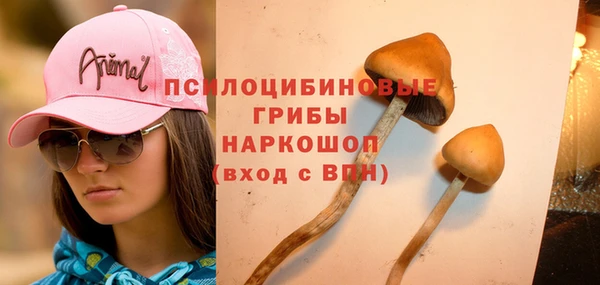 амф Мегион