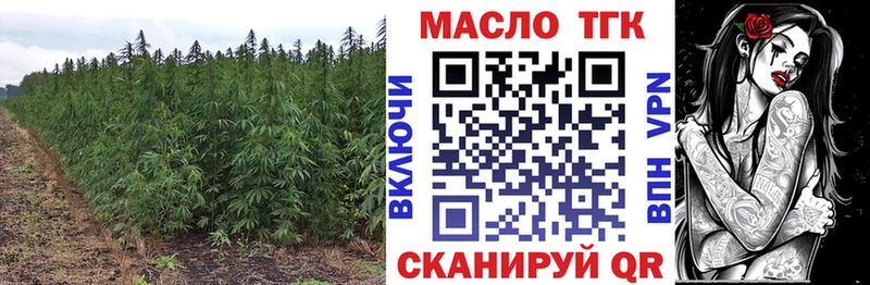 продажа наркотиков  Аргун  Дистиллят ТГК вейп 