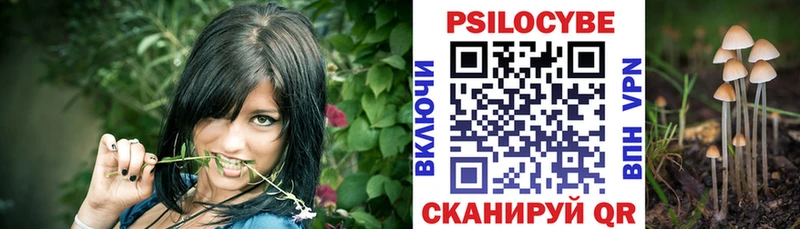 Галлюциногенные грибы GOLDEN TEACHER  купить закладку  Аргун 